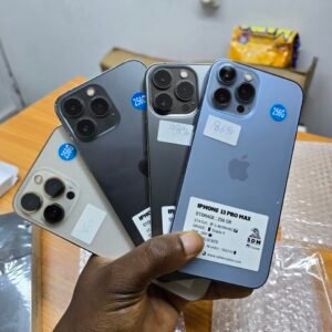 iPhone 13 Pro Max (256GB)